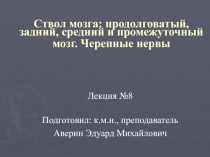 Ствол мозга: продолговатый, задний, средний и промежуточный мозг. Черепные нервы