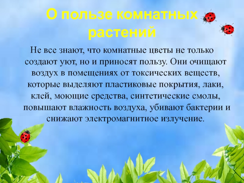 Вред и польза комнатных растений презентация