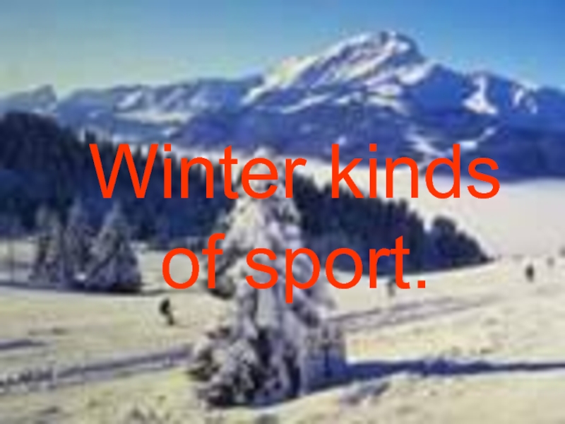 Winter kinds of sport