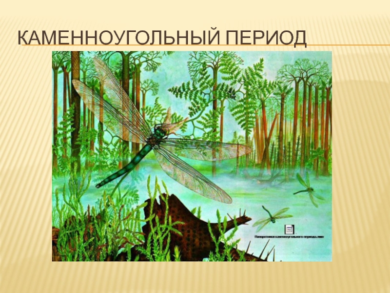 Появление растений. Происхождение растений. Возникновение растений. Историческое развитие растительного мира схема. Начальные этапы развития растительного мира.