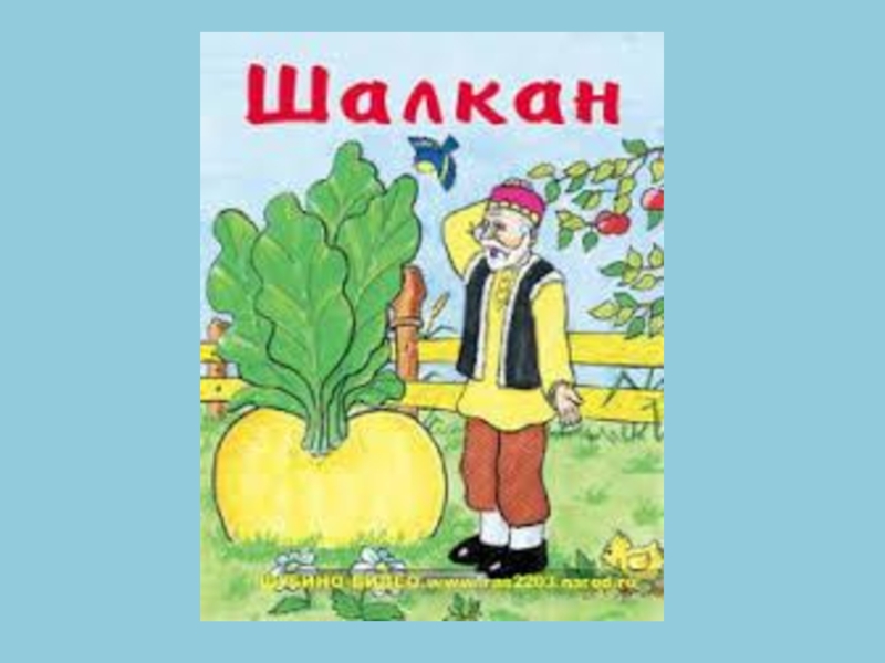 Шалкан. Сказка "Репка". Татарские сказки для детей. Татарская сказка про растение. Сказка шалкан.