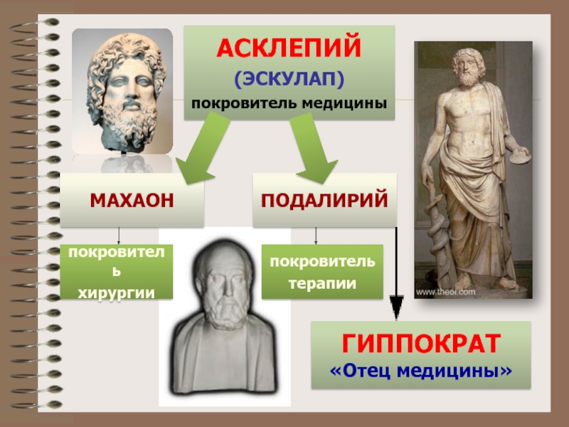 Проект синонимический ряд врач доктор лекарь эскулап целитель врачеватель