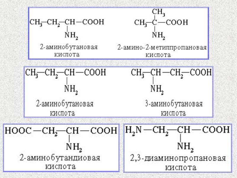 2 аминобутановая кислота формула. Аминобутановая кислота формула. 2 3 Аминобутановая кислота. Диаминопропановая кислота. 4 Аминобутановая кислота изомеры.