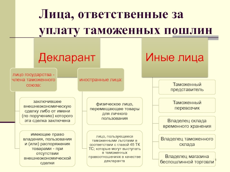 Таможенные пошлины презентация