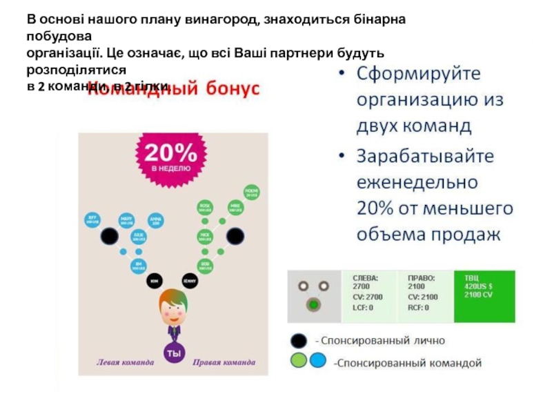 Це означає. Бинарное построение. Бинарное построение команды. Бинарный бизнес план. Бинарное построение структуры.