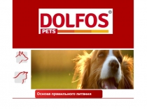 DOLFOS презентація 39 позицій