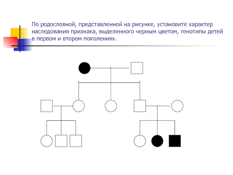 Родословная цвет глаз схема