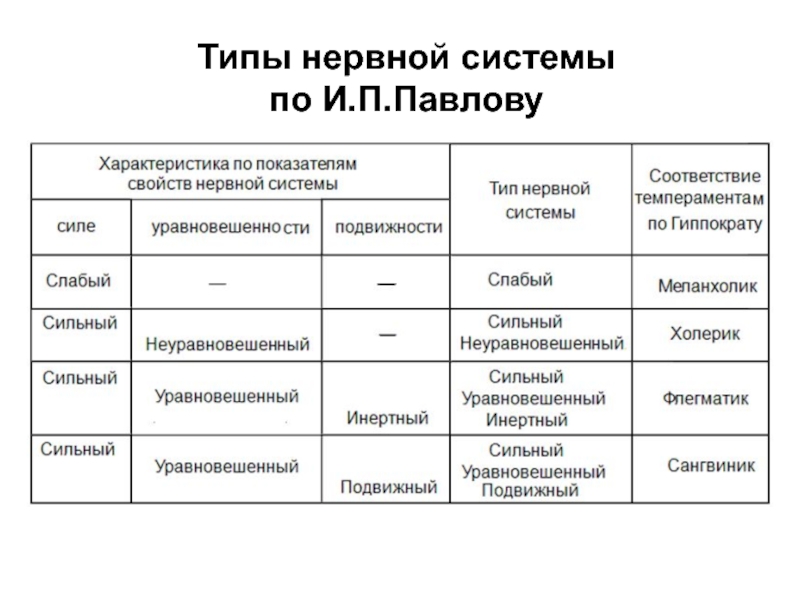 Определение типа внд по анамнестической схеме