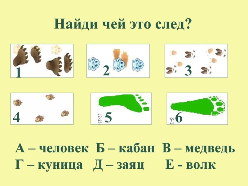 Понять чья. Чьи следы?. Найди чей след. Игра Найди чей след. Чьи эти следы.