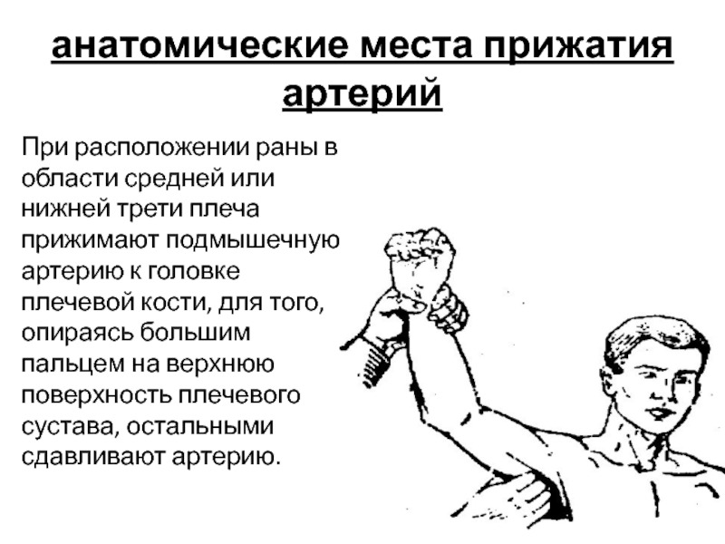 Плечевая артерия прижимается к плечевой кости. Прижатие плечевой артерии. Прижатие подмышечной артерии. Место прижатия плечевой артерии. Прижатие артерии пальцем.