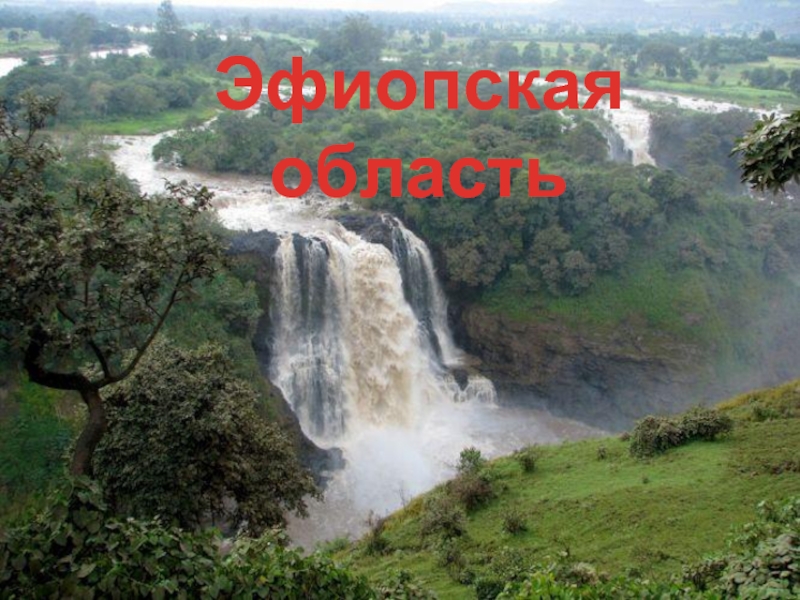 Эфиопская область