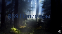 &5 9. Полимеры