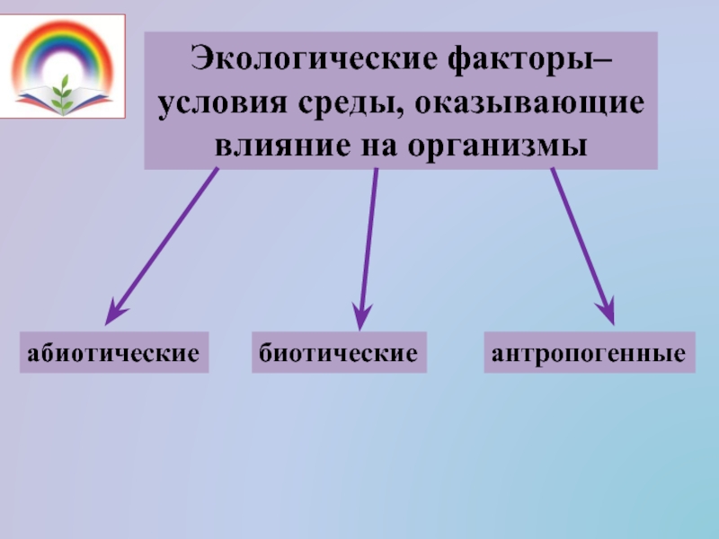 Природные факторы оказывают. Экологические факторы среды. Влияние условий среды на организмы. Влияние экологических факторов на организмы. Влияние факторов среды на организм.