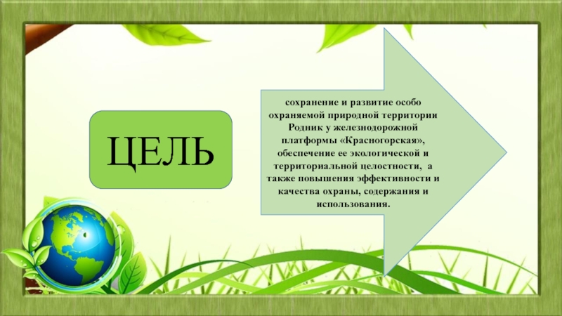 Развитый особо. Родник у железнодорожной платформы Красногорская. Родник на Красногорской платформе. Особо развитые.