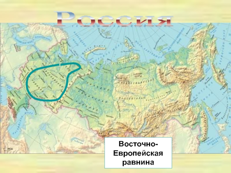 География великие равнины россии. Восточно-европейская равнина на карте Евразии. Восточно европейская равнина на физической карте Евразии.