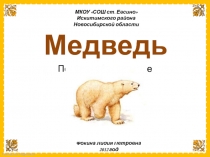 Медведь. Поэтапное рисование 4 класс