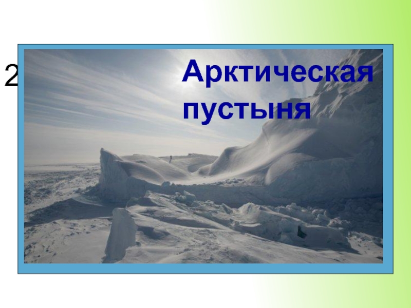 2. Лютый мороз, ветер, сбивающий с ног, слепящая метель и белое безмолвие.Арктическая пустыня