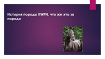 История породы KWPN, что же это за порода