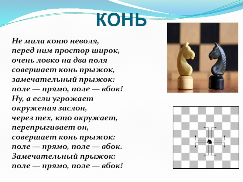 Как ходят фигуры в шахматах для новичков в картинках с пояснениями для начинающих пошагово