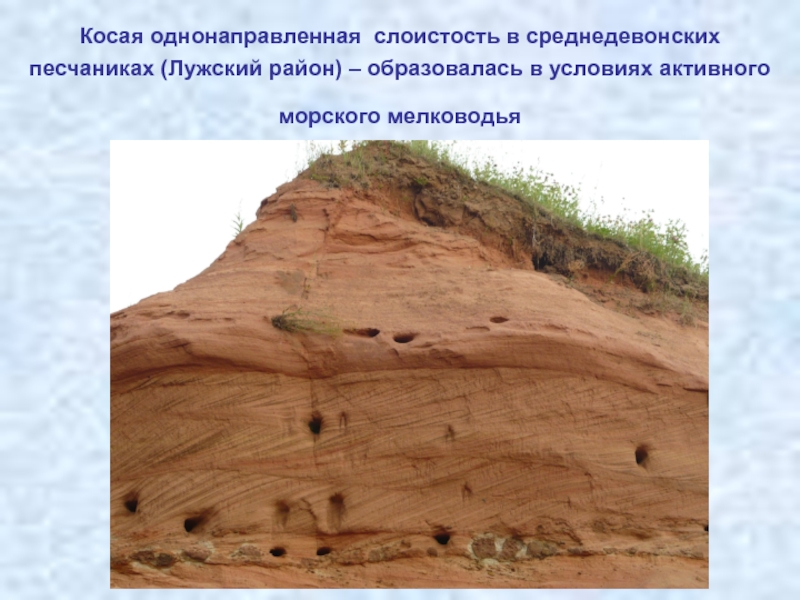 Косая однонаправленная слоистость в среднедевонских песчаниках (Лужский район) – образовалась в условиях активного морского мелководья