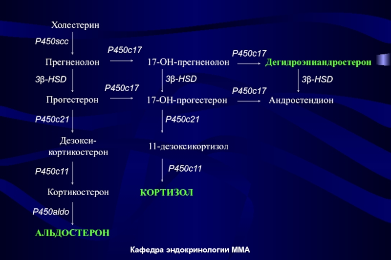 Заболевания надпочечников презентация