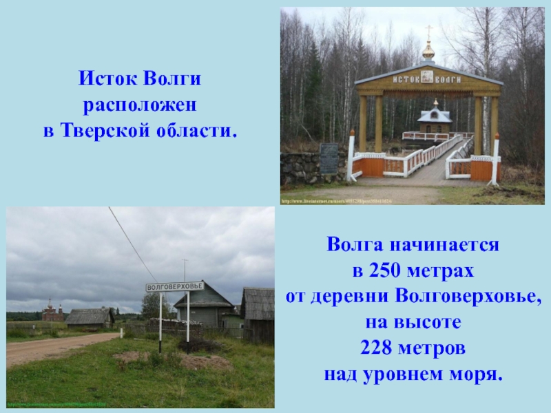 Где исток. Исток Волги над уровнем моря. Исток Волги и высота истока. Исток Волги расположен на. Исток Волги высота над уровнем моря.