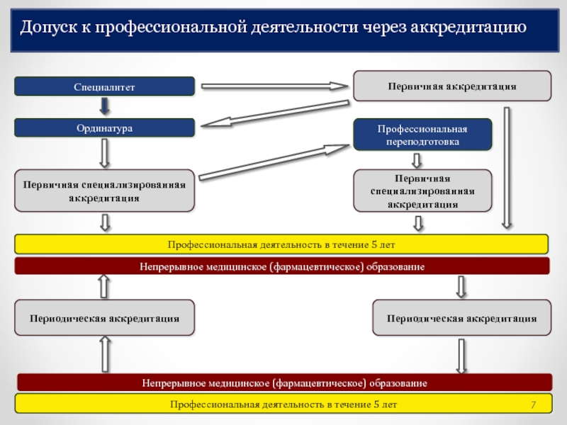 Публичное управление в сфере профессиональной деятельности презентация