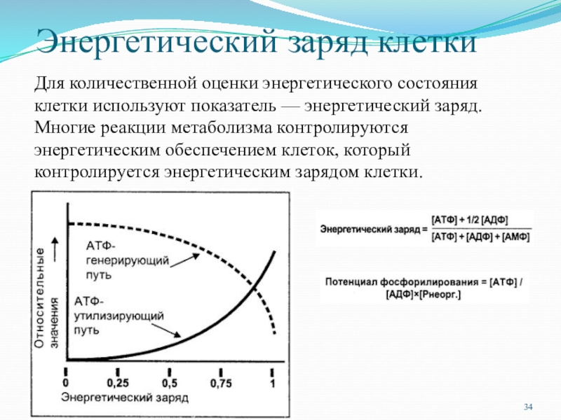 Энергетический заряд. Энергетический заряд клетки биохимия. Энергетическое состояние клетки. Формула расчета энергетического заряда клетки. Энерг заряд клетки.