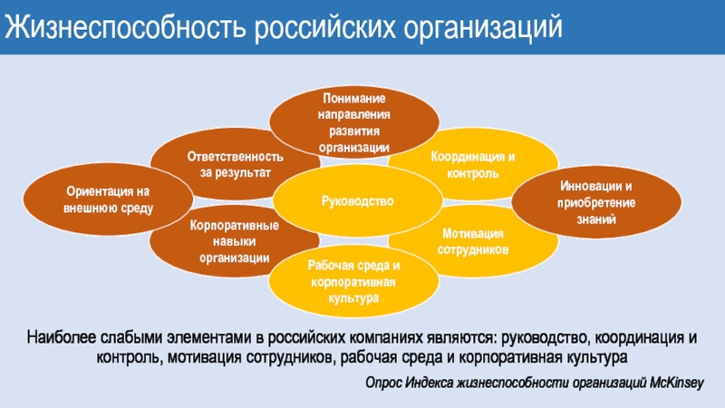 Анализ жизнеспособности проекта