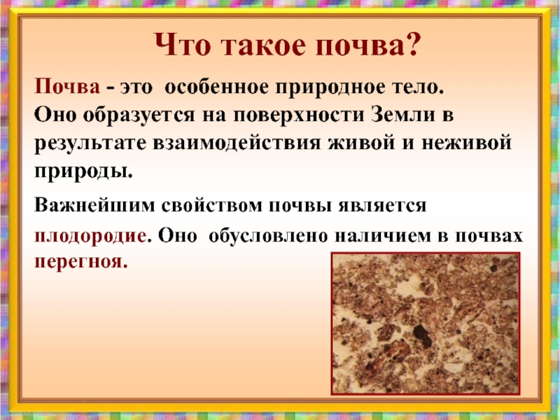 Что такое почва презентация 3 класс окружающий мир плешаков презентация