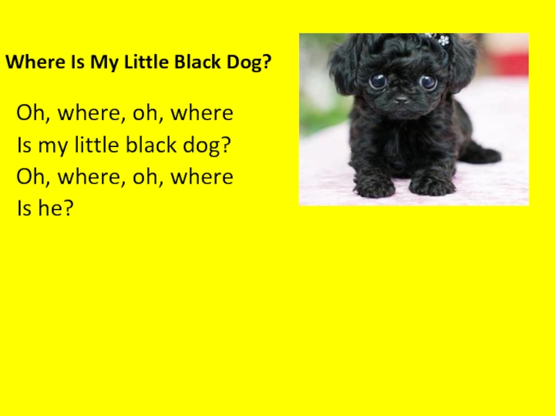 Oh me dog. Little Black Dog. It is a Dog. Black Yellow little Dog. My little Dog Wolf английский 2 класс.