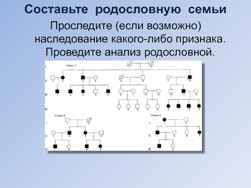 Составление родословной семьи. Проведите анализ родословной. Составление и анализ родословных схем. Составьте родословную вашей семьи проследив. Составьте родословную семьи со случаем сахарного диабета.