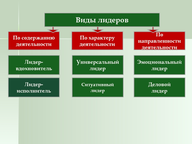 Виды лидерства. Лидер по характеру деятельности. Виды лидерства по характеру деятельности. Типы лидерства по содержанию лидерской деятельности.