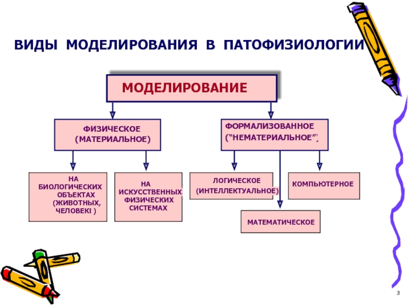 Виды моделирования