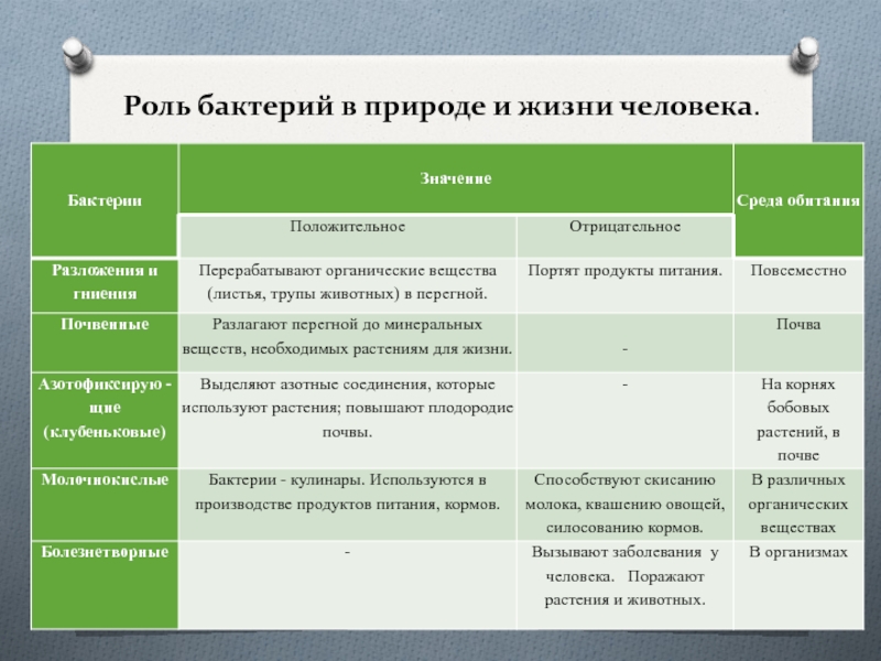 Значение бактерий в природе и жизни человека 5 класс биология презентация