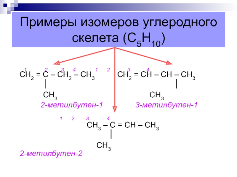 Изомерия пентен 2. 2 Метилбутен 2 полимеризация. 2 Метилбутен 1 изомер углеродной цепи. 2-Метилбутен-1 углеродный скелет.