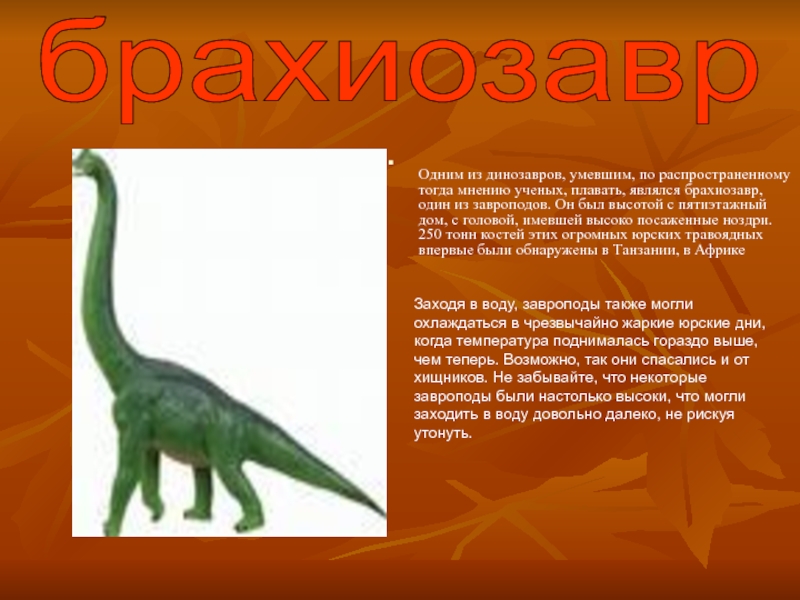 Одним из динозавров, умевшим, по распространенному тогда мнению ученых, плавать, являлся брахиозавр, один из завроподов. Он