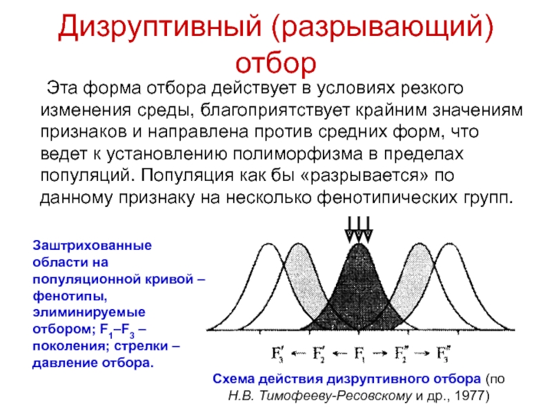 Определите какие диаграммы соответствуют приведенным ниже описаниям форм естественного отбора