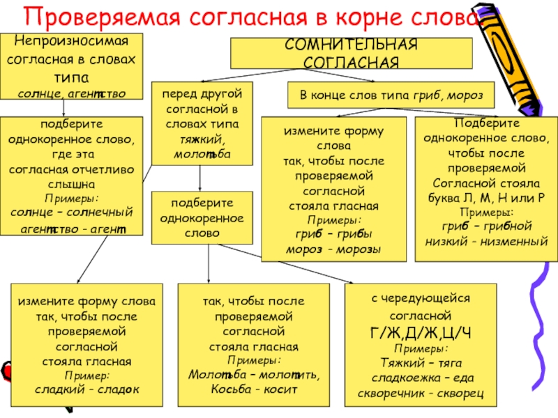 Орфограмма проверяемого согласного в корне