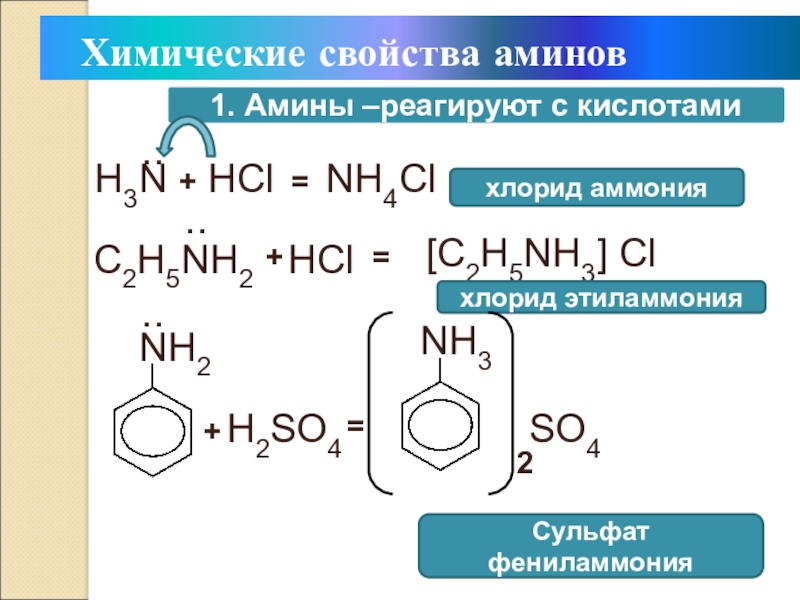 Этил аммоний. Хлорид фениламмония h2so4. Реакция Аминов с хлоридом аммония. Хлорид фениламмония +h2sor. Сульфат фениламмония.