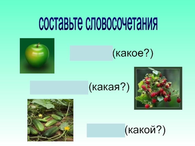 Яблоко какое прилагательное