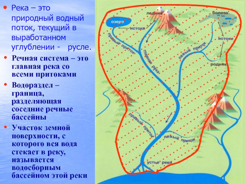 Речные артерии