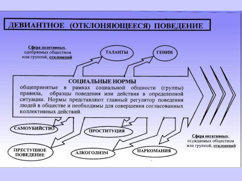 Социальные нормы общепризнанные или достаточно распространенные образцы