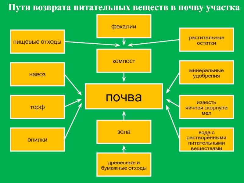 Питательные вещества в почве. Пути возврата питательных веществ в почву. Укажите пути возврата питательных веществ в почву. Закон возврата питательных веществ.