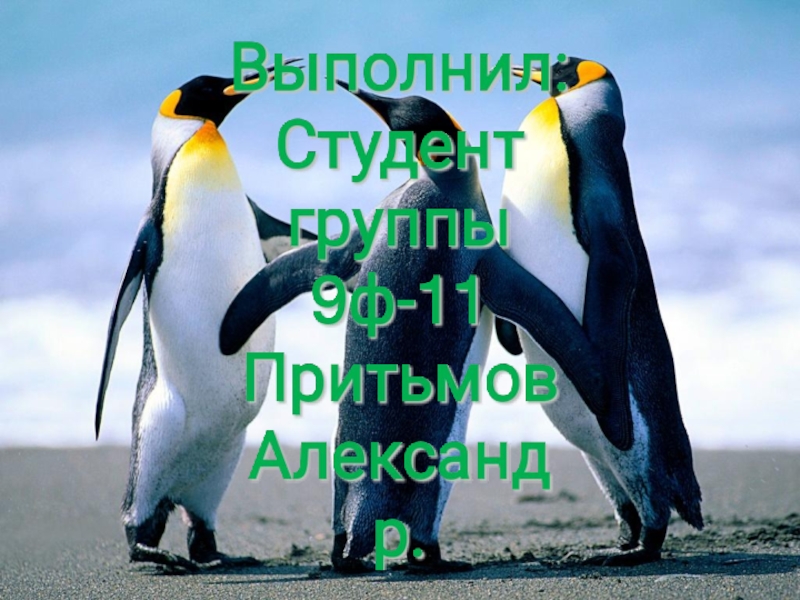 Притьмов 9ф-11 закон толерантности