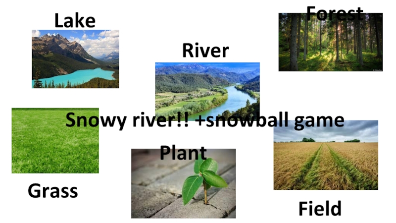 LakeRiverForest FieldGrass Plant Snowy river!! +snowball game