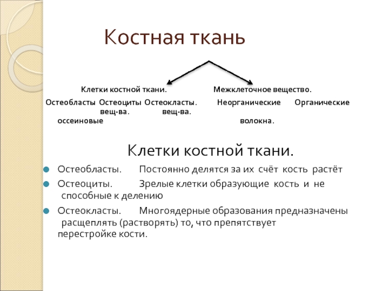 Клетка костной ткани остеоциты