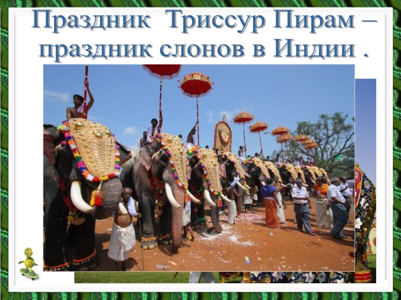 Праздник Триссур Пирам – праздник слонов в Индии . 