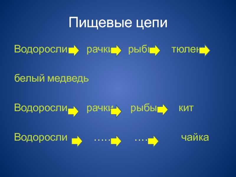 Водоросли рачки белый медведь. Водоросли — рачки - рыба — тюлень — белый медведь. Пищевая цепь водоросли рачки. Пищевая цепь водоросли рачки рыбы тюлени.