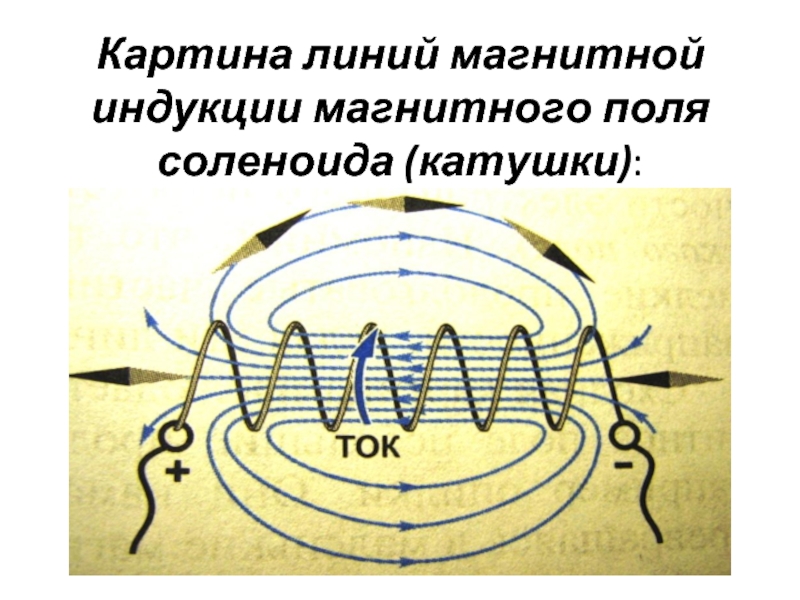 Картина магнитных линий